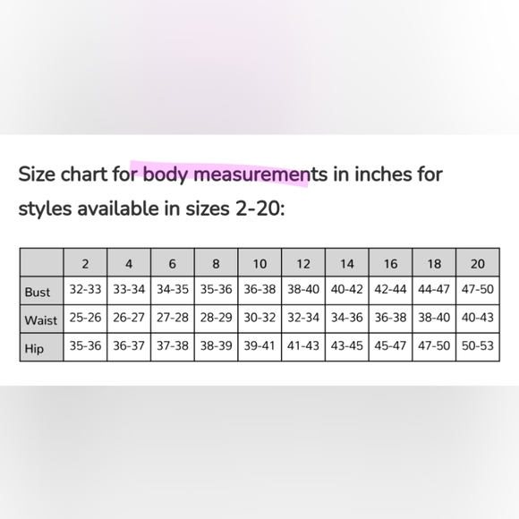 Birds of North America Grey Cotton Dress w/ Pockets Made in Canada - Picture 9 of 9